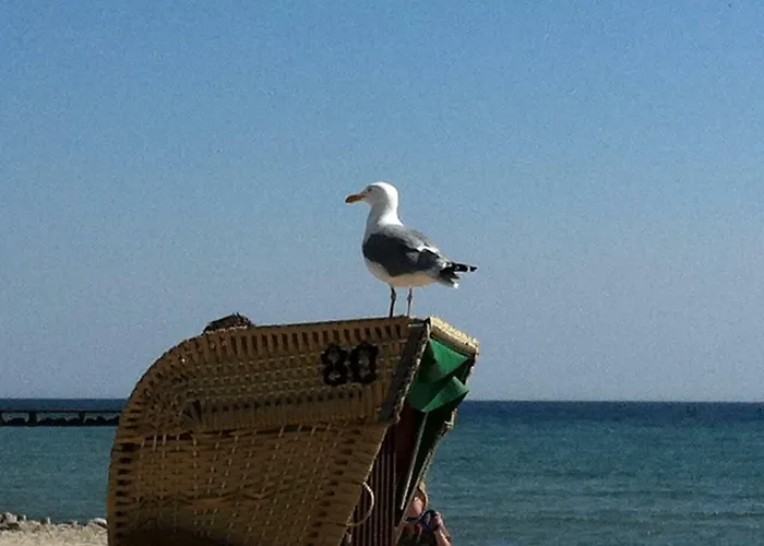 Sonnentraum In Bester Lage Appartement